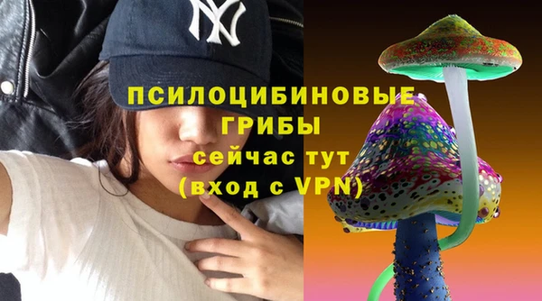 стаф Нефтекумск
